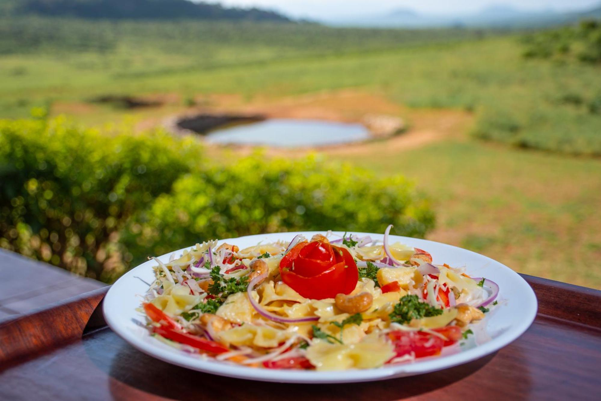 Ngulia Safari Lodge Ithumba Экстерьер фото